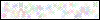 Auth Image