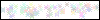 Auth Image