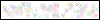 Auth Image